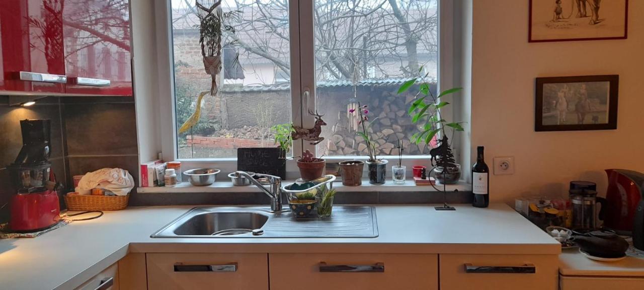 La Chambre Rose Rosenwiller Eksteriør billede